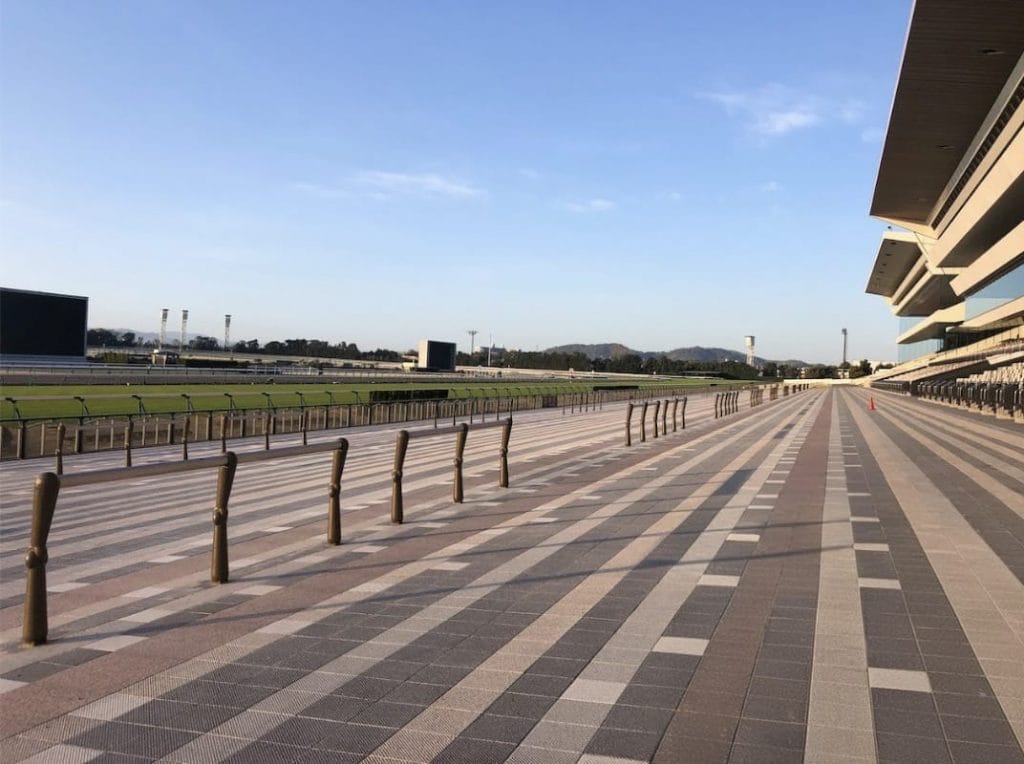 京都競馬場